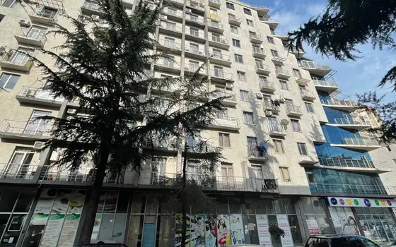 Завершенный дом у парка 6 мая. Квартиры в центре города Батуми.