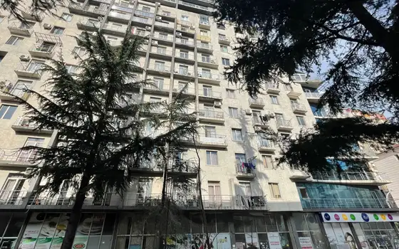 Завершенный дом у парка 6 мая. Квартиры в центре города Батуми.