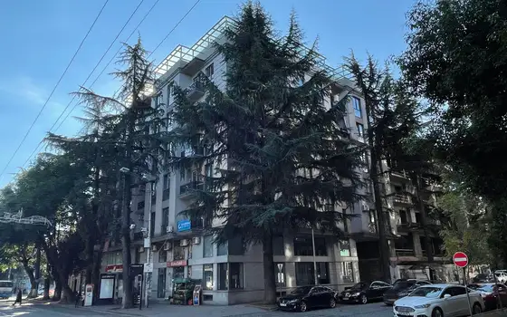 Новый 7 этажный жилой дом в центре города на улице Бараташвили у Площадь Европы.