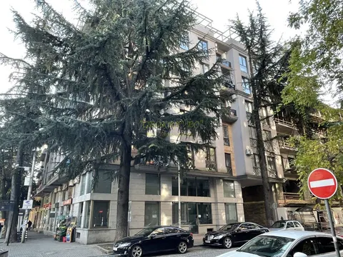 Новый 7 этажный жилой дом в центре города на улице Бараташвили у Площадь Европы.