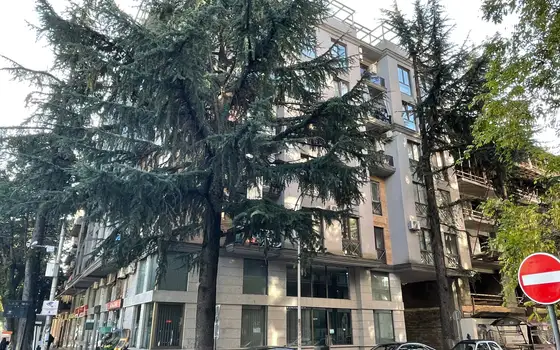 Новый 7 этажный жилой дом в центре города на улице Бараташвили у Площадь Европы.