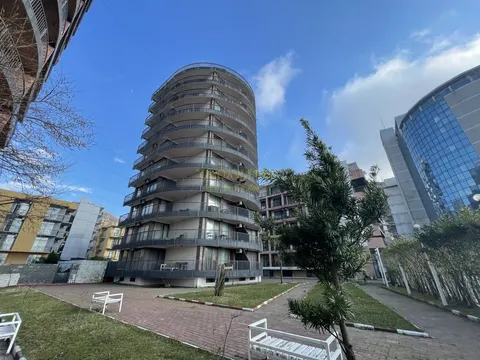 Мгзавреби