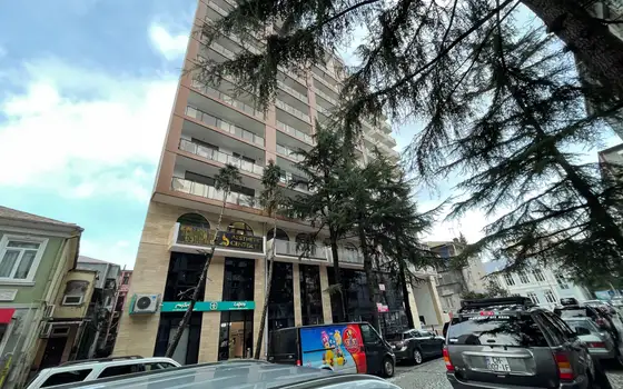 House on Parnavaz, photo 6