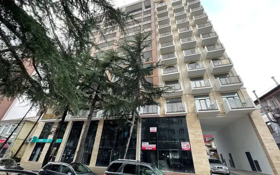 House on Parnavaz, photo 10