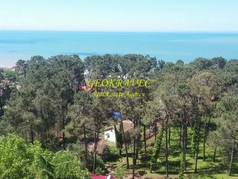 Новый 12 этажный жилой дом гостиничного типа у моря в Уреки. Квартиры с видом на море и на горы. Гурия. Грузия.