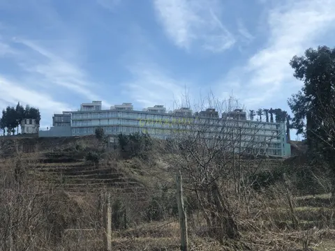 Panorama Batumi