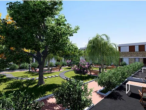 Mandarin garden