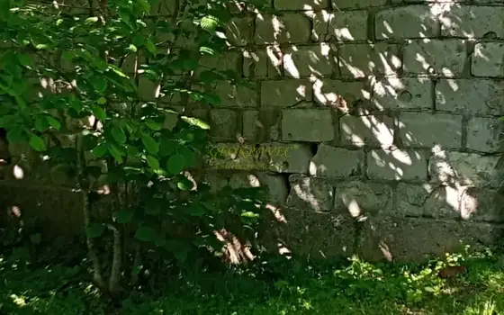 Инвестиционный земельный участок в Кобулети.
