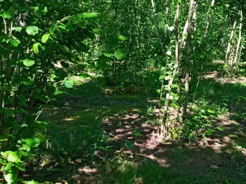 Инвестиционный земельный участок в Кобулети.