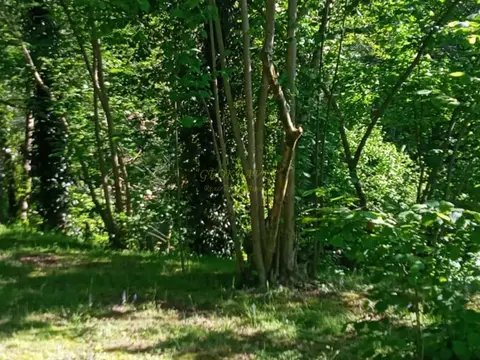 Инвестиционный земельный участок в Кобулети.