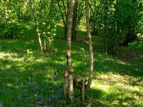 Инвестиционный земельный участок в Кобулети.