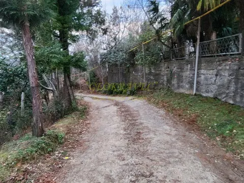 Участок земли в Чакви.