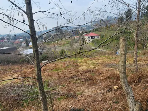 Земельный участок в Хелвачаурском муниципалитете.