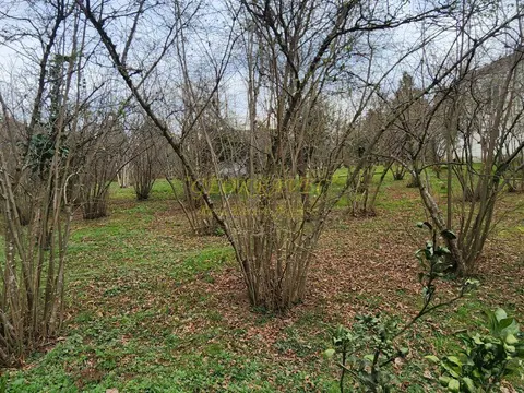 Продается участок в село Мухаестате.