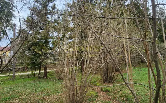 Продается участок в село Мухаестате.