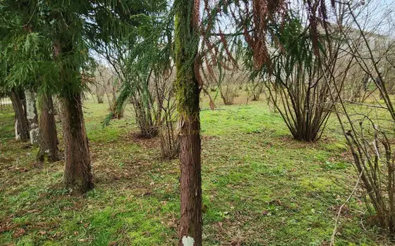 Продается участок в село Мухаестате.