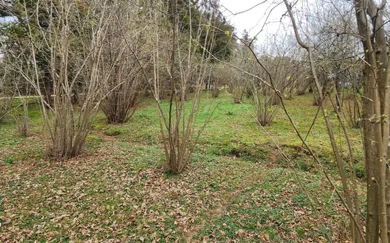 Продается участок в село Мухаестате.