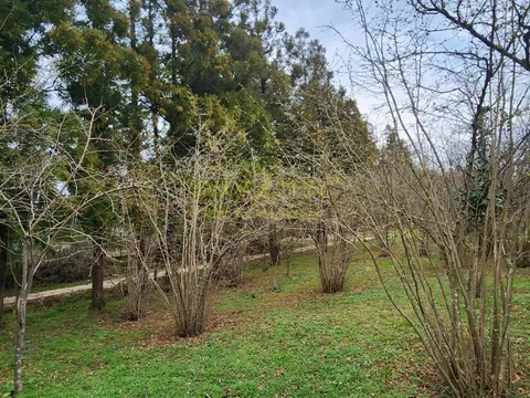Продается участок в село Мухаестате.