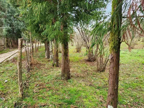 Продается участок в село Мухаестате.