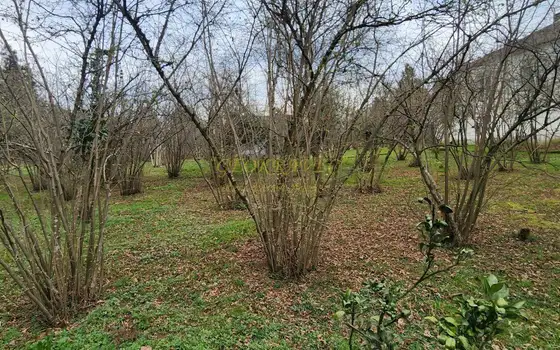 Продается участок в село Мухаестате.