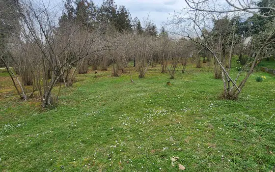 Продается участок в село Мухаестате.