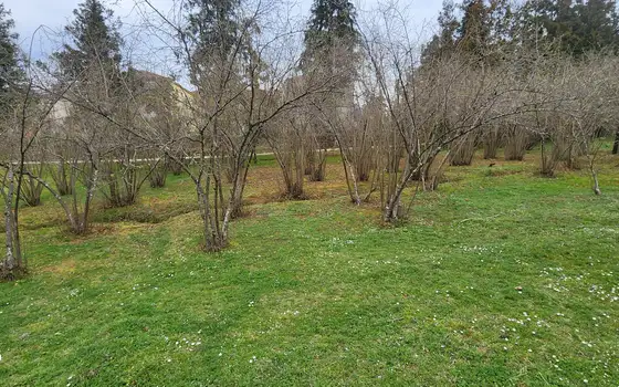 Продается участок в село Мухаестате.