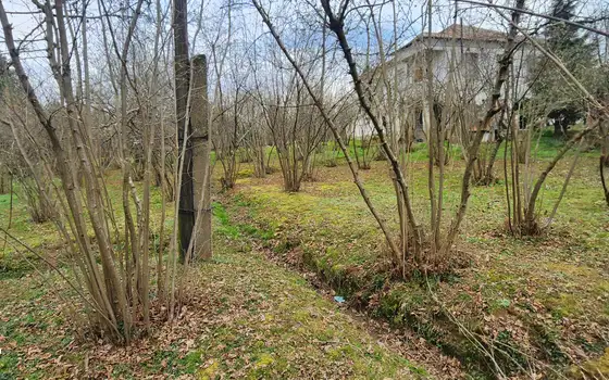 Продается участок в село Мухаестате.