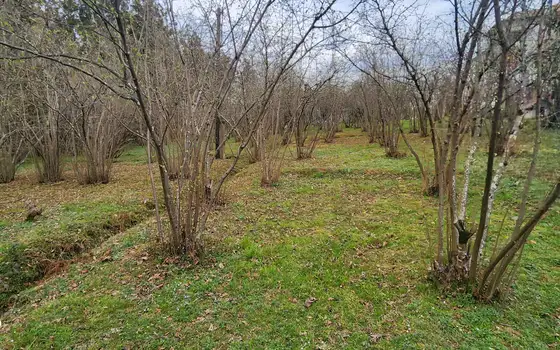 Продается участок в село Мухаестате.