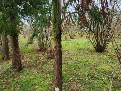 Продается участок в село Мухаестате.