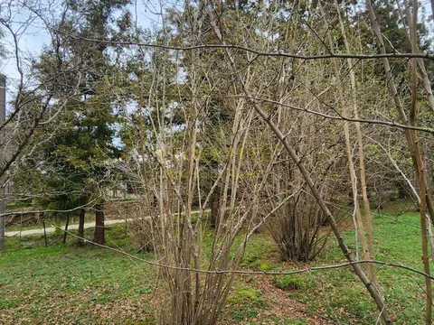 Продается участок в село Мухаестате.
