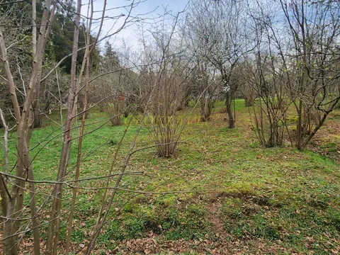 Продается участок в село Мухаестате.