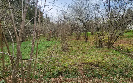 Продается участок в село Мухаестате.