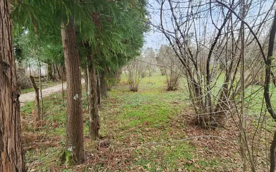 Продается участок в село Мухаестате.
