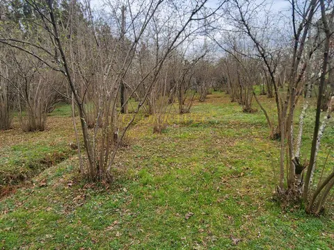 Продается участок в село Мухаестате.