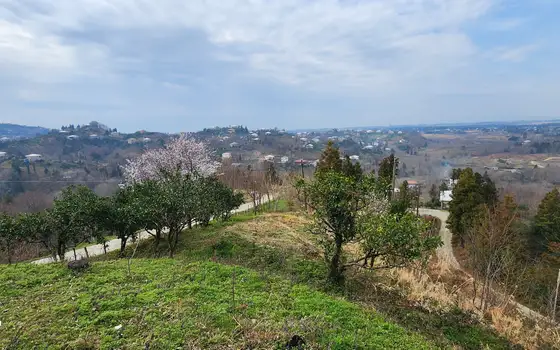 Продается дом с земельным участком в Кобулети.