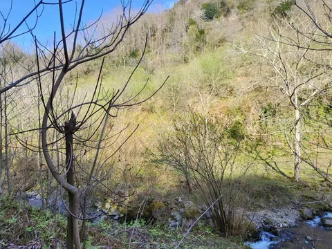 Продается земельный участок на берегу реки.
