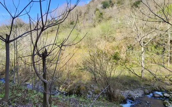 Продается земельный участок на берегу реки.
