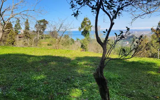 Investment Land with Sea View in Kobuleti, photo 4