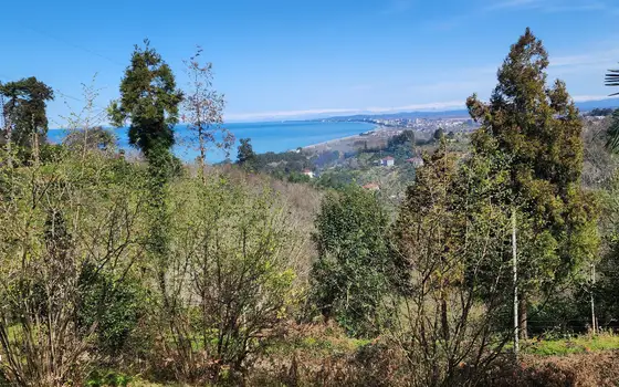 Investment Land with Sea View in Kobuleti, photo 9