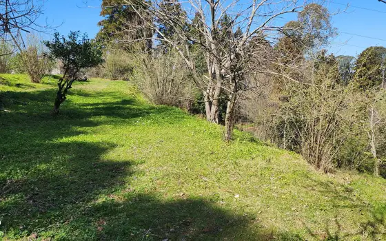 Investment Land with Sea View in Kobuleti, photo 8