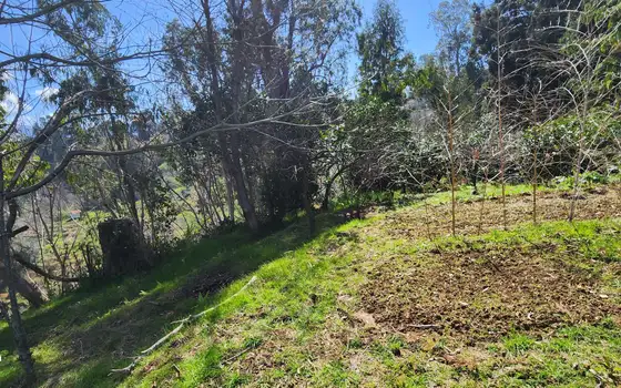 Investment Land with Sea View in Kobuleti, photo 11