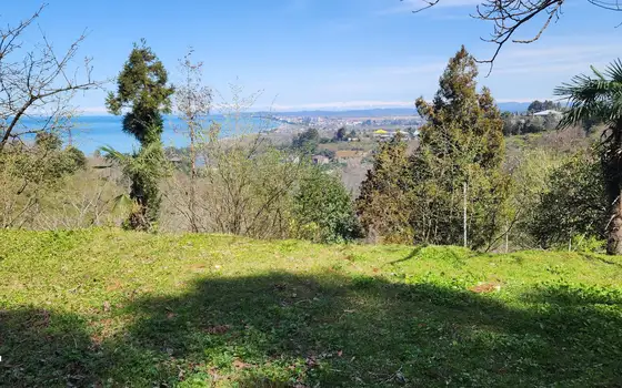 Investment Land with Sea View in Kobuleti, photo 5