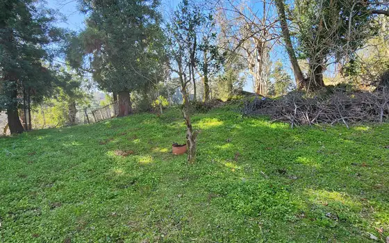 Investment Land with Sea View in Kobuleti, photo 10