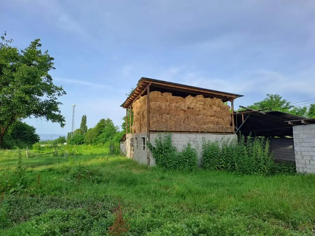 Продажа инвестиционной недвижимости в муниципалитете Лагодехи.