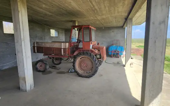 Продается ореховая плантация в Зугдиди.