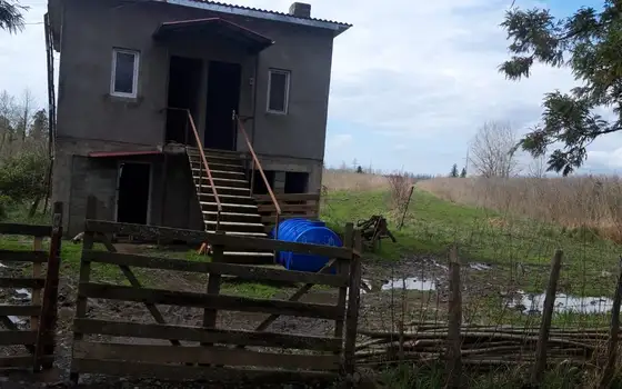 Продается Фундуковая плантация в Хобском райионе.
