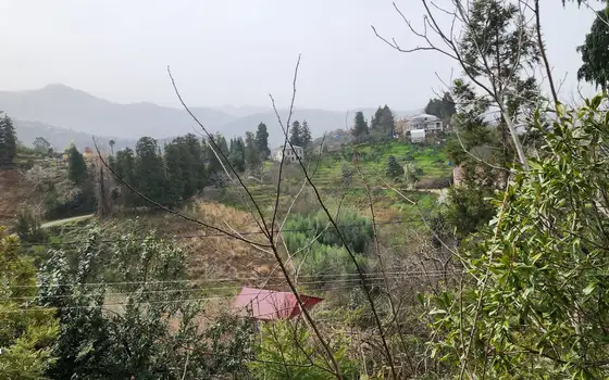 1392 m² Plot with Sea View, photo 10