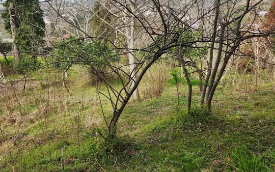 1392 m² Plot with Sea View, photo 9
