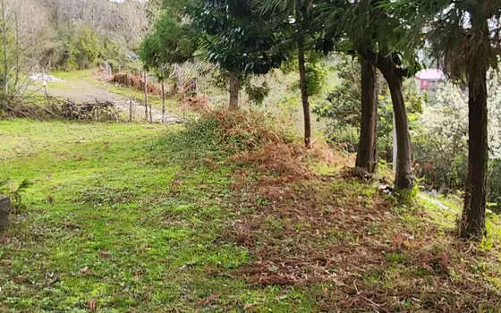 1392 m² Plot with Sea View, photo 11