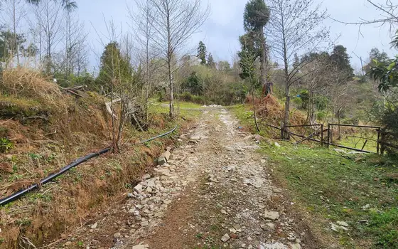 1392 m² Plot with Sea View, photo 2